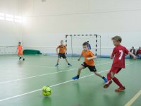IMG_5446